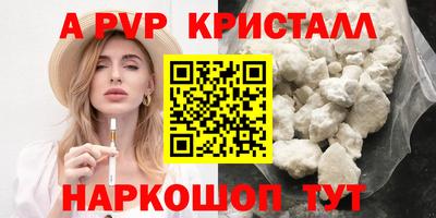 спиды Кингисепп