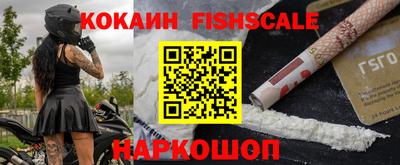 спиды Кингисепп