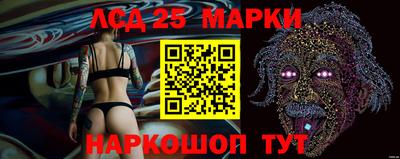 спиды Кингисепп