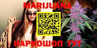 спиды Кингисепп