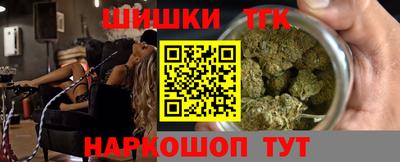 спиды Кингисепп