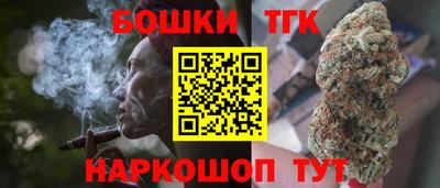 спиды Кингисепп