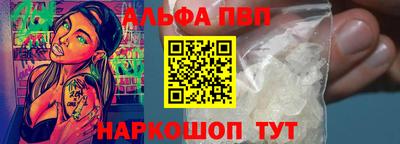 спиды Кингисепп