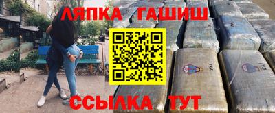 спиды Кингисепп