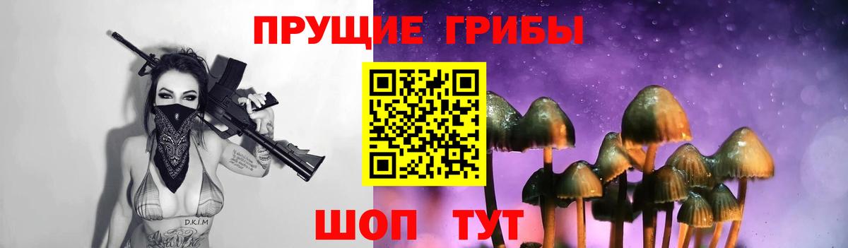 Галлюциногенные грибы Cubensis  Вход с VPN  Киселёвск 